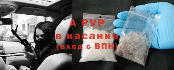 спиды Верея