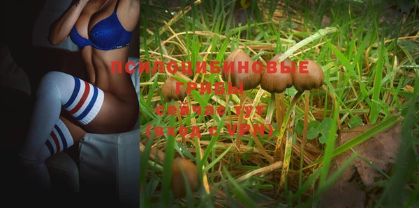 spice Бронницы